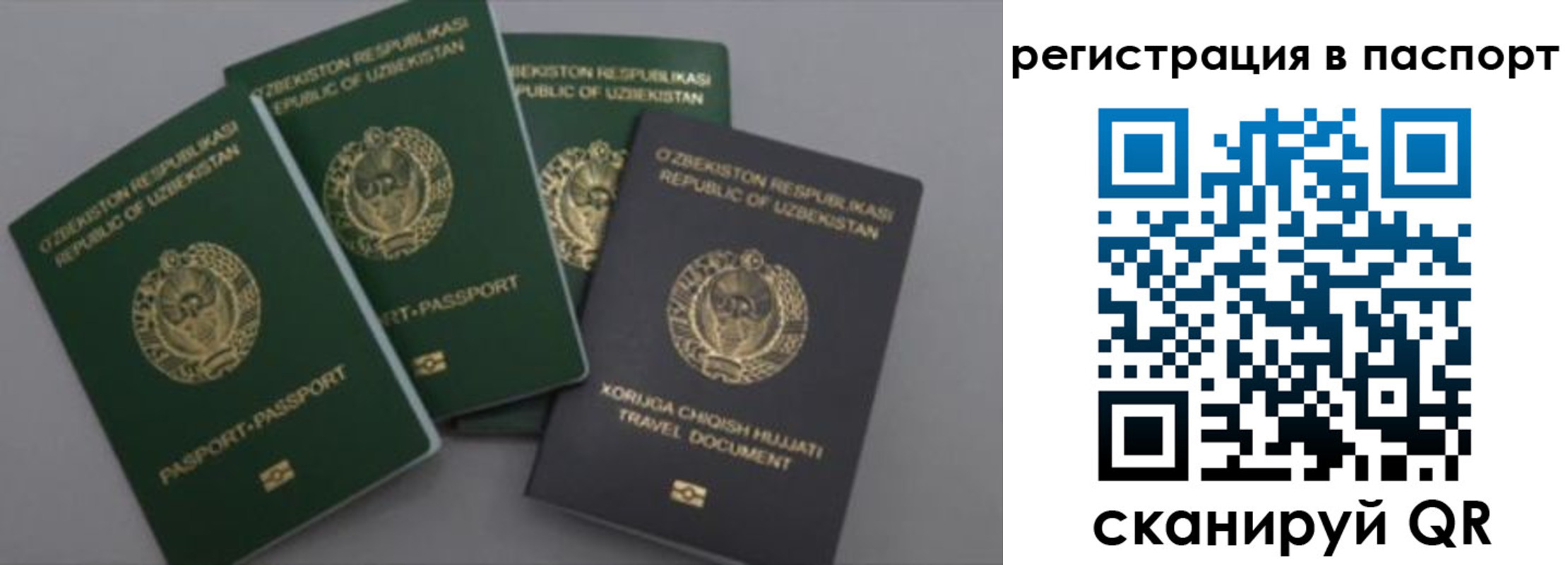 прописка от собственника в Новосибирске